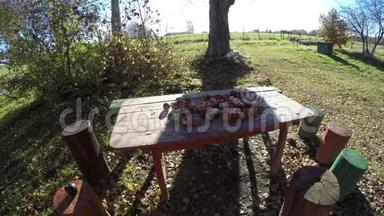去年秋天，农场里的花园桌子上有苹果，<strong>阳光</strong>下有树影。 <strong>延时</strong>4K